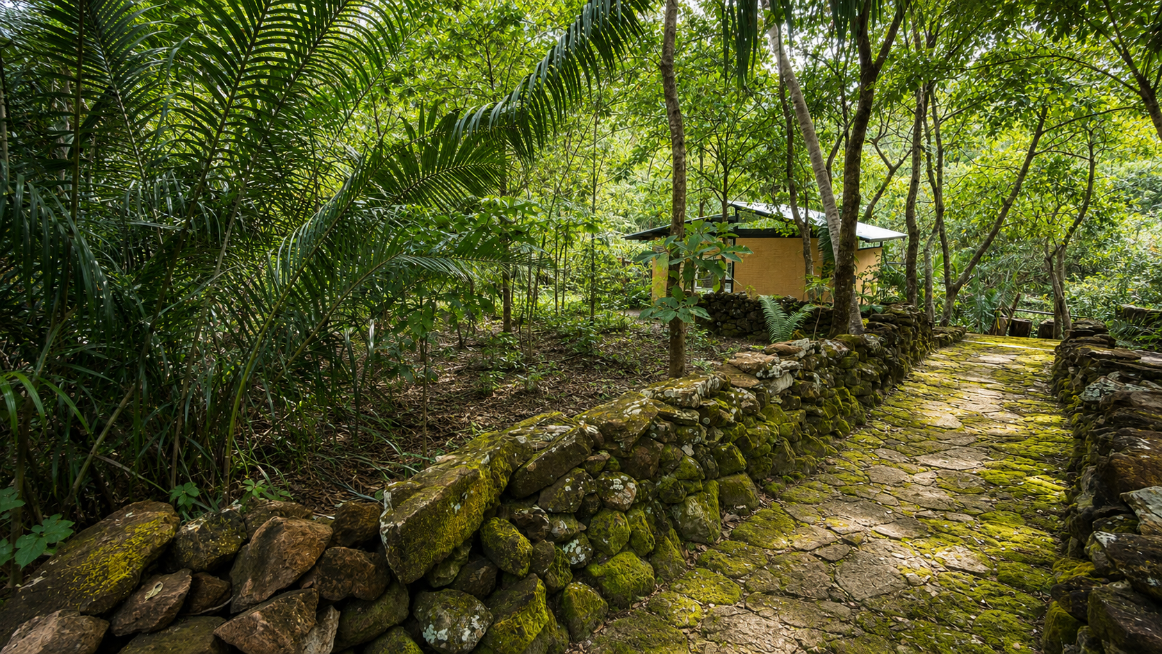 Caminho